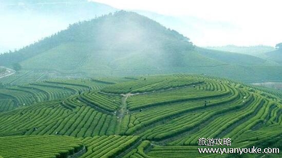 福泉山景区好玩吗，春秋季节景色非常美(非常适合拍照)