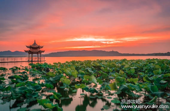 杭州旅游攻略必去景点推荐，5大值得去的景点（网红打卡地）