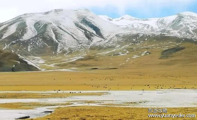 中国有哪五个高原，帕米尔高原21世纪才回归故土