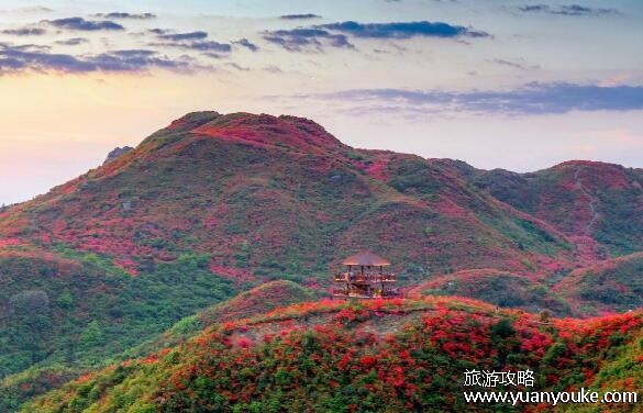 大围山海拔多少米，1607.9米(长沙市最高的山峰之一)