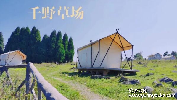 千野草场海拔多少米，在1000米至1600米之间(四季都很美)