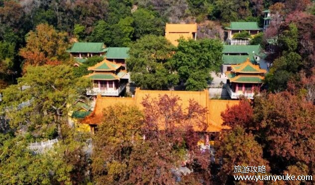 新会圭峰山海拔高度多少米，41米(传统民俗活动极具特色)