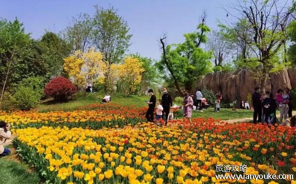 西安植物园门票多少钱，只需要10块钱(植物种类美丽景点)