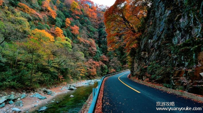 光雾山在四川什么地方，四川巴中市南江县(三国时期的重要战场)