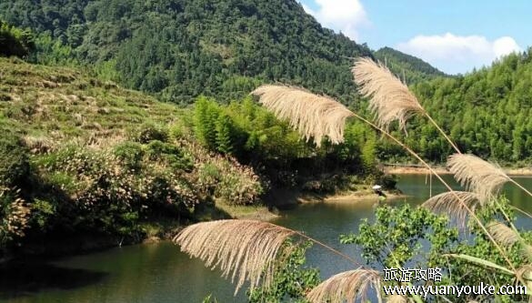 南平茫荡山海拔多少米，1364米(特殊高度形成了壮丽的景观)