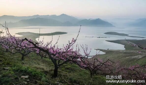 舟山桃花岛风景区门票多少钱，景区免费开放(射雕英雄传取景地)
