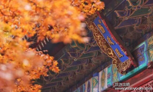 北京香山门票价格，淡季5元旺季10元(开放时间和游玩路线)