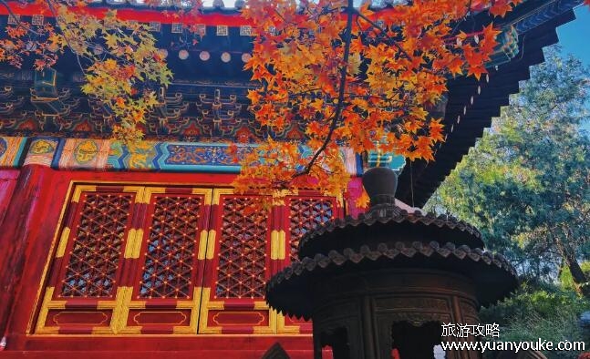 北京香山门票价格，淡季5元旺季10元(开放时间和游玩路线)