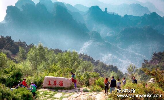 王莽岭海拔最高多少米，