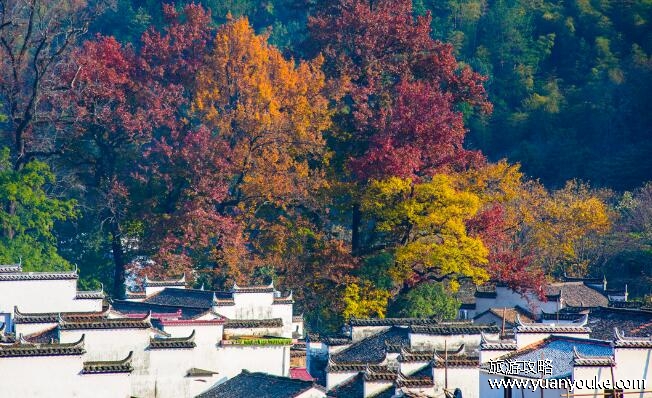江西婺源几月份去最好，春季三月下旬至四月中旬(秋季十月中旬至下旬)