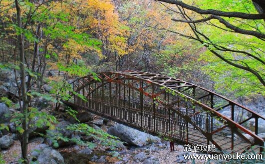 朱雀国家森林公园在哪里，在陕西省西安市(山峦叠嶂的壮观景点)