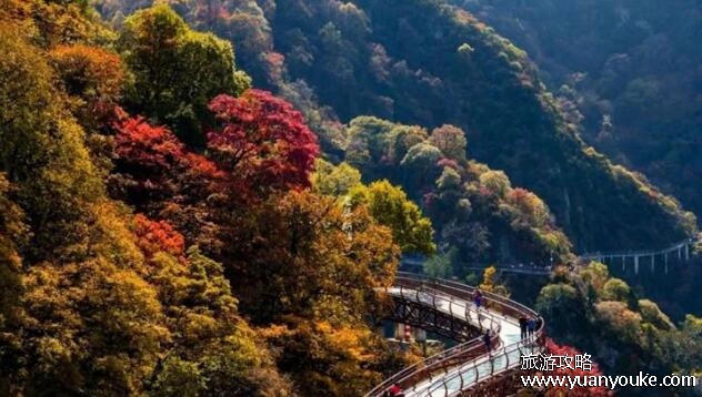 秦岭在哪里哪个省的，横跨山西/甘肃/四川等多省(中华龙脉)