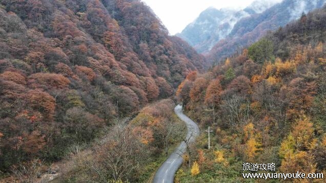 米仓山国家森林公园好玩吗，值得一游的独特景点(天然氧吧)