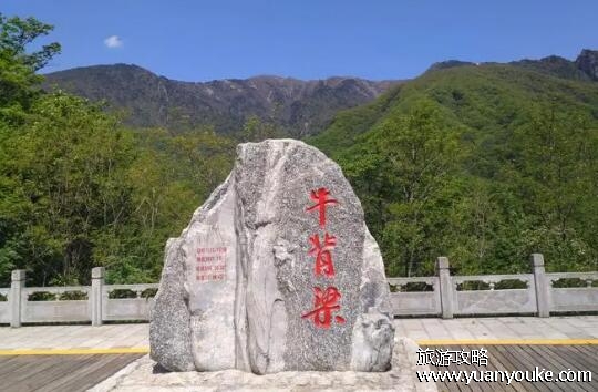 牛背梁国家森林公园在哪里，在陕西省柞水县(风景非常美)