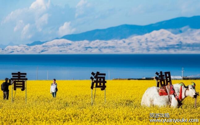 青海旅游攻略及花费，各项费用详情(值得游玩的景点)