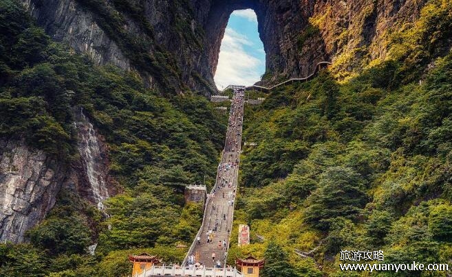 张家界需要门票吗，需要(张家界景区各个景点门票详细费用)