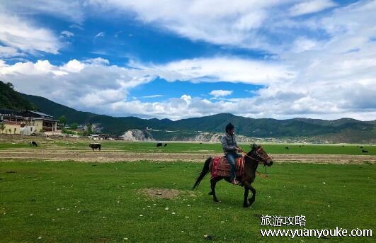 纳帕海依拉草原在哪里，在云南的香格里拉(藏族文化底蕴浓厚)