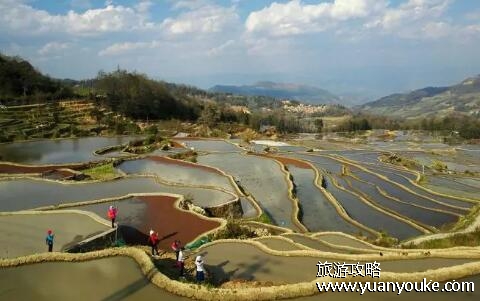 元阳梯田海拔多少米，144米到1740米不等(中国最著名的梯田之一)