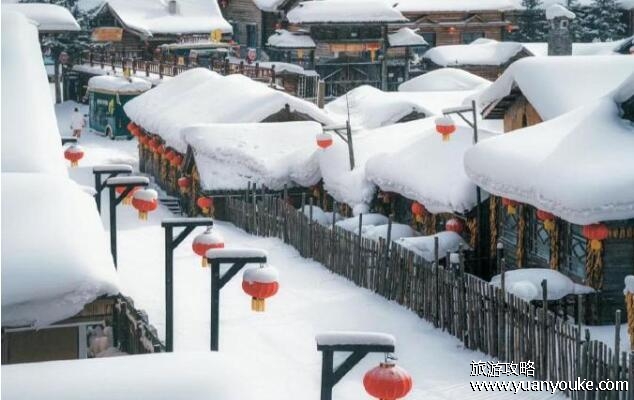 狗熊岭在中国的哪个地方，东北的大兴安岭(光头强居住的地方竟是长白山)
