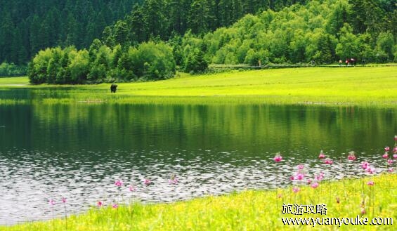 碧塔海海拔多少米，3830米(令人惊叹的美丽湖泊)