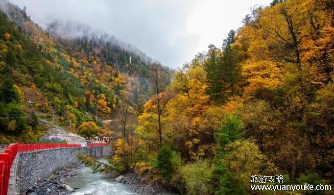 米亚罗风景区好玩吗，羌族文化十分独特(四季都适合来旅游)