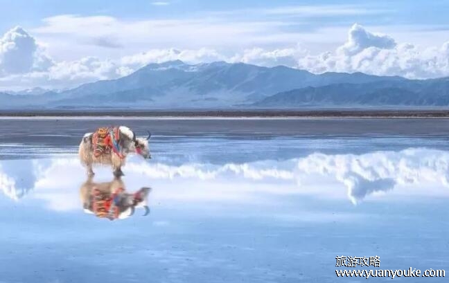 茶卡盐湖在哪里，青海省海西蒙古族藏族州乌兰县茶卡镇(最出片的时间)