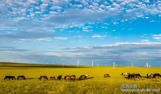 内蒙旅游攻略旅游线路，7条主题不同的路线(可以玩7次)