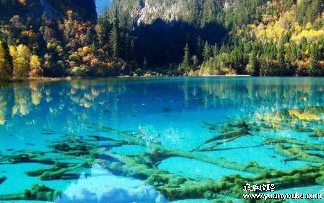 去九寨沟旅游怎么走，出行方式以及路线规划(提前一天到适应高反)