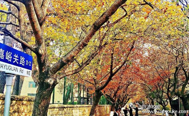 青岛旅游攻略自由行5天，5天的行程安排