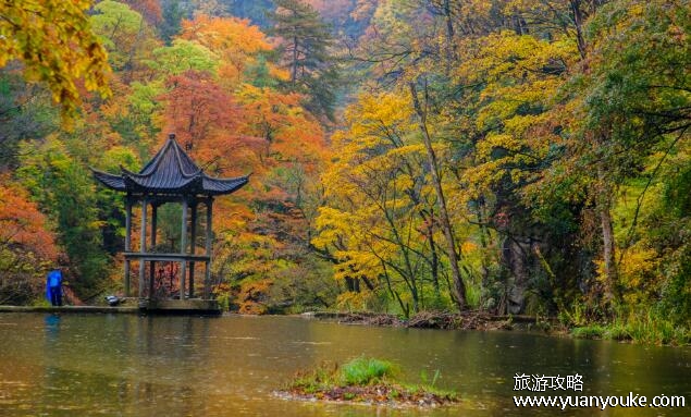 米仓山国家森林公园海拔多少，海拔最高2507米(秋景美如画卷)