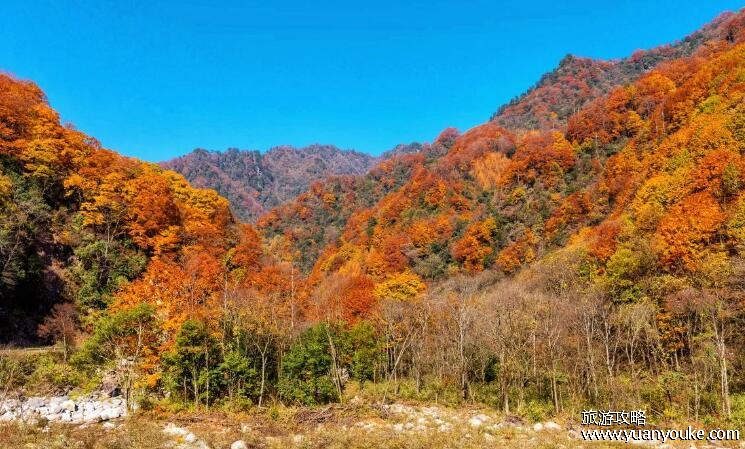 米仓山国家森林公园海拔多少，海拔最高2507米(秋景美如画卷)