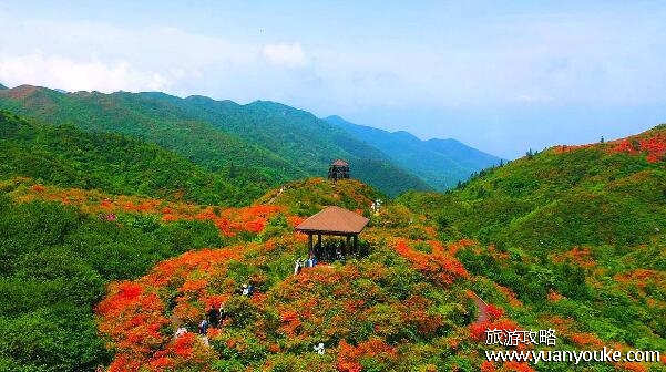 大围山国家森林公园在哪里，在湖南省长沙市(非常适合放松身心)