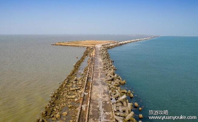 黄河入海口在哪里，山东省东营市垦利区(两条公交线路欣赏黄河入海景象)