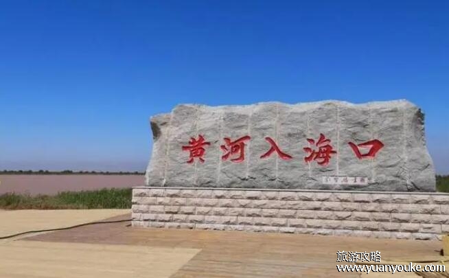 黄河入海口在哪里，山东省东营市垦利区(两条公交线路欣赏黄河入海景象)