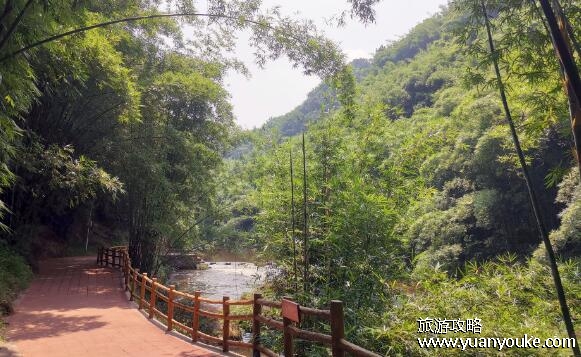 七洞沟风景区在哪里，在四川省宜宾市长宁县(洞穴溪流形态各异)