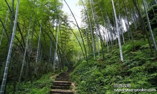 僰王山风景区好玩吗，