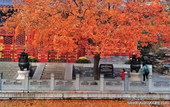 北京周边旅游攻略必去景点，百里画廊五月份至十月份看四季花海