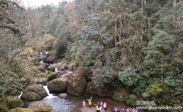 龙苍沟国家森林公园海拔多少米，2949.6米(高海拔形成独特风景)