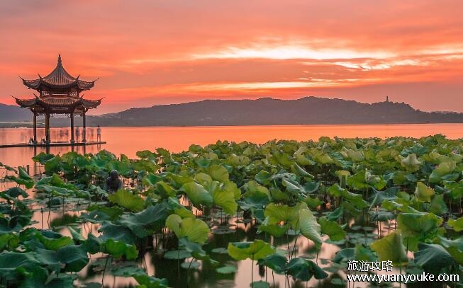 西湖湖面面积是多少?6.38平方千米(西湖景区面积49平方千米)