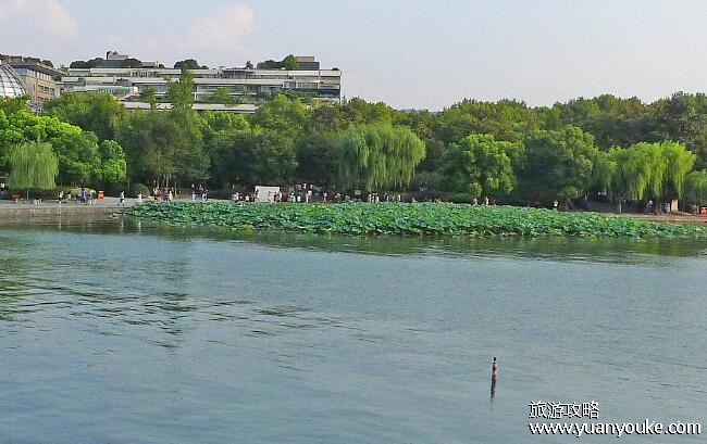 西湖湖面面积是多少?6.38平方千米(西湖景区面积49平方千米)