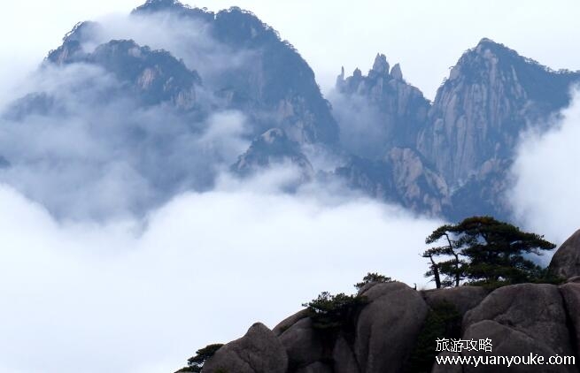 中国四大名山指哪些，庐山、龙虎山、黄山、九华山