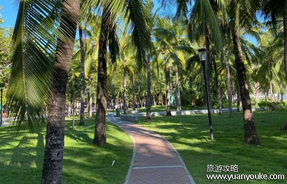 椰梦长廊在哪里，在海南省三亚市(冬可避寒夏能消暑)