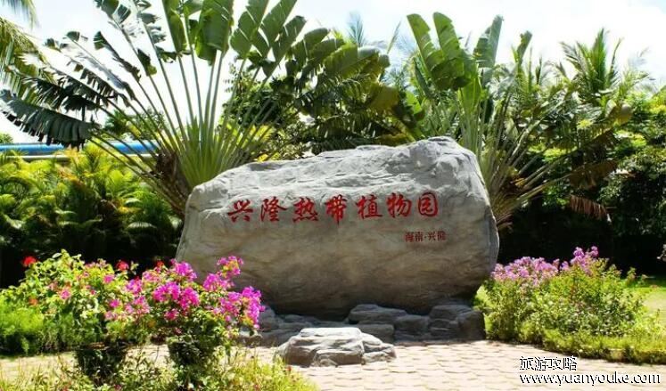 兴隆热带植物园好玩吗，非常值得一游(热带植物种类众多)