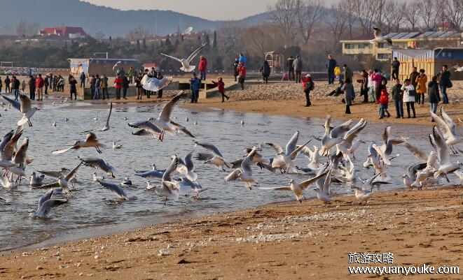 北戴河旅游几天合适，2天足够游完北戴河(北戴河景点以及最佳旅游时间)