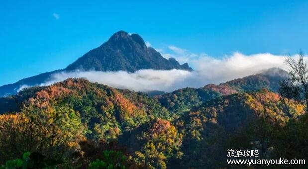 五指山景点好玩吗，既能避暑又能避寒的旅游胜地(适合休假疗养)