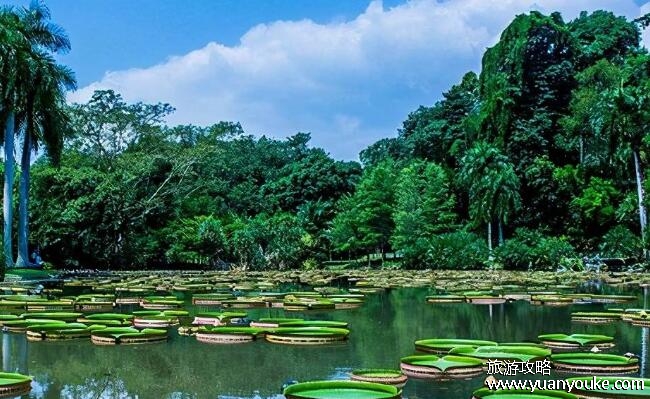 西双版纳属于云南哪个市区，不是市区是自治州(西双版纳的风景独一无二)