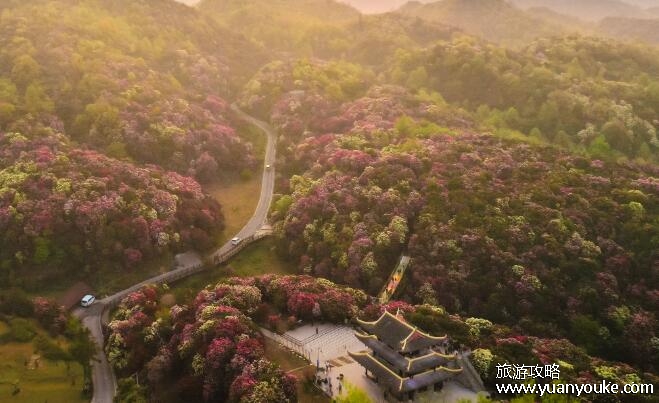 百里杜鹃在贵州哪个地方，贵州省西北部(主要景点以及门票信息详情)