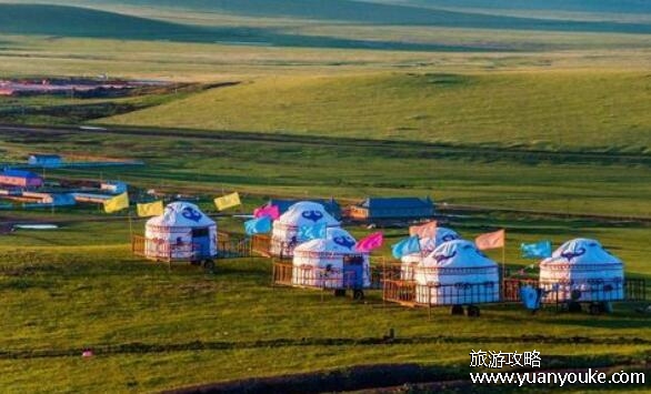 草原旅游去哪里好 草原旅游胜地推荐，4大最美草原景区介绍