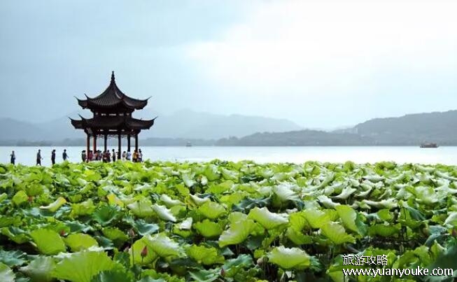 中国十大名胜风景区，这十个风景名胜区都是中国的金字招牌