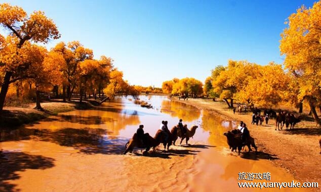 阿拉善在哪，在内蒙古自治区西部(非常值得一游的美丽景点)